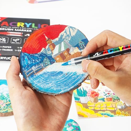 Bisofice Acrylic Paint Markers Set with Nylon Brush Tip Fast Drying Ink for Rock Glass Wood Ceramic Canvas Fabric Plastic Metal Tire Leather Smooth Coverage with 10pcs Elastic Nib (366)