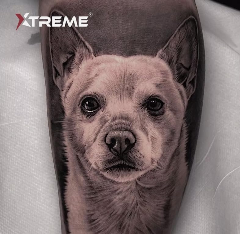 Xtreme Ink Black Magic Tattoo Ink, Experience the Enchantment of Premium Black Pigment, Smooth Application, True Colors, and Uncompromised Safety - Elevate Your Artistry with Xtreme Tattoo Inks (1 oz) - color: Black Magic, size: 1 fl oz