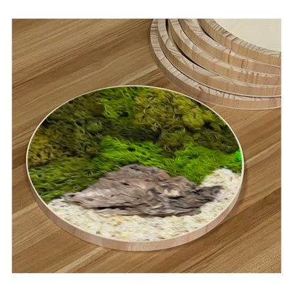 6 Pack 14 Inch Round Wood Canvas Panels Unfinished Wooden Plates Round Wood Cradle Boards for Pouring Arts Painting Crafts - size: 14 in
