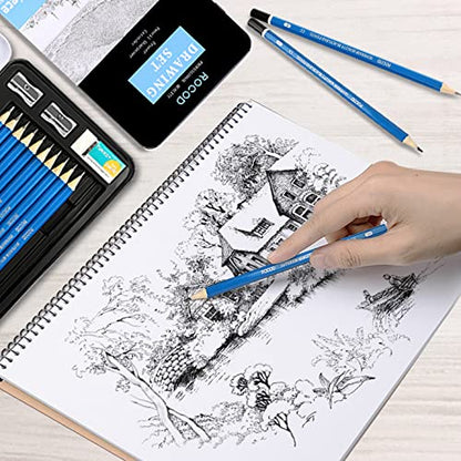 Profession Sketch Pencils 6B to 4H for Kids and Adults Drawing, Art Graphite Pencil for Artists Beginner Sketching - size: 16 Piece Set
