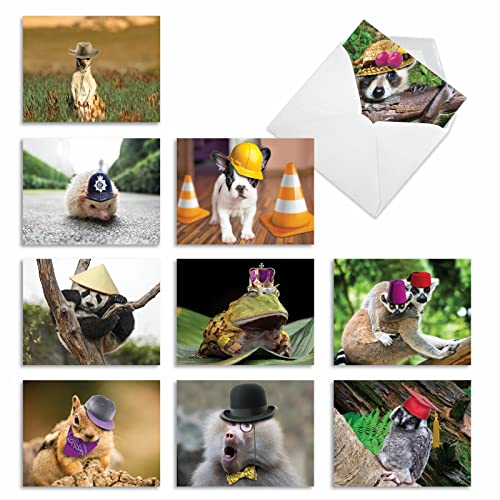 The Best Card Company - 10 Adorable Note Cards Blank (4 x 5.12 Inch) - Wildlife and Animal, Assorted Boxed Set - Capped Creatures M6470OCB - style: Capped Creatures