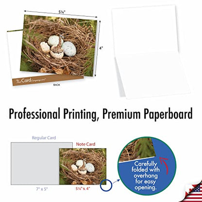 The Best Card Company - 10 Adorable Note Cards Blank (4 x 5.12 Inch) - Wildlife and Animal, Assorted Boxed Set - Minimals M6449OCB - style: Minimals