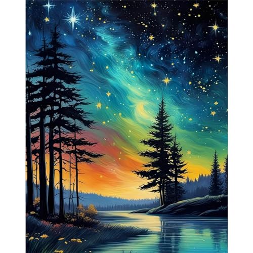 xackcme Starry Sky Paint by Numbers for Adults - Starry Night Paint by Number on Canvas Without Frame, DIY Abstract Landscape Oil Painting for Gift Home Wall Decor (16x20 inch) - color: MT12308