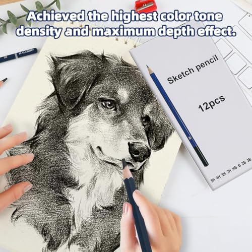 12-Piece Drawing Pencil Set, Various Grades 5H to 8B for Sketching and Art