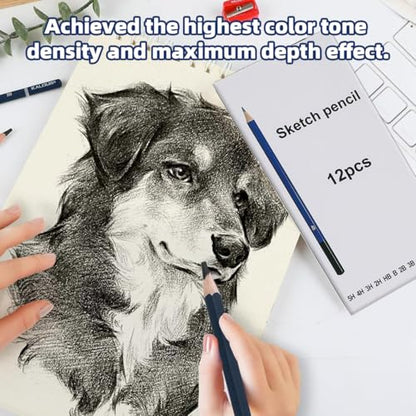 12-Piece Drawing Pencil Set, Various Grades 5H to 8B for Sketching and Art