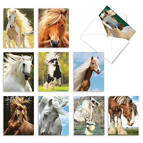 The Best Card Company - 10 Mixed Set Horse Note Cards Blank (4 x 5.12 Inch) - Wildlife, Animal Assorted Boxed Bulk Pack - Horses | Magnificent Manes M4601OCB-B1x10 - style: Magnificent Manes