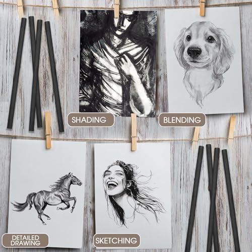 Gueevin 100 Pcs Willow Charcoal Sticks, Willow Charcoal, Artists, Beginners, Students, Perfect for Sketching, Drawing, Shading, and Fine Back to School Christmas Art Gifts (5-7mm) - size: 5-7mm