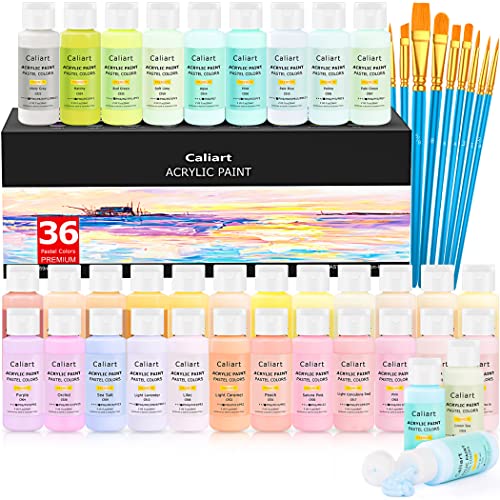 Caliart 36 Colors Pastel Acrylic Paint Set with 12 Painting Brushes | Craft Painting kit for Adults Artists Beginners, Rich Pigment Non-toxic, Canvas Wood Rock Pumpkin Ceramic Art Supplies Paint - color: Pastel, size: 2 Fl Oz (Pack of 36)