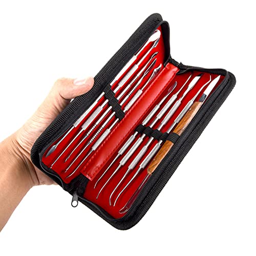 Angzhili Stainless Steel Dental Wax Carver Tools,10 Pcs Plaster Carving Knife,Wax Carving Kit for Wax Shaping,Dental Lab Tool,Dentist Sculpture Instruments Kit with Case