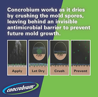 Concrobium Mold Control Aerosol, 14.1 oz – Eliminates & Prevents Mold – EPA Registered, Bleach-Free, Odorless, VOC-Free – For Indoor & Outdoor Surfaces, Mid-Sized Jobs, and Hard-to-Reach Areas - size: 14.1 Fl Oz (Pack of 1), style: Spray