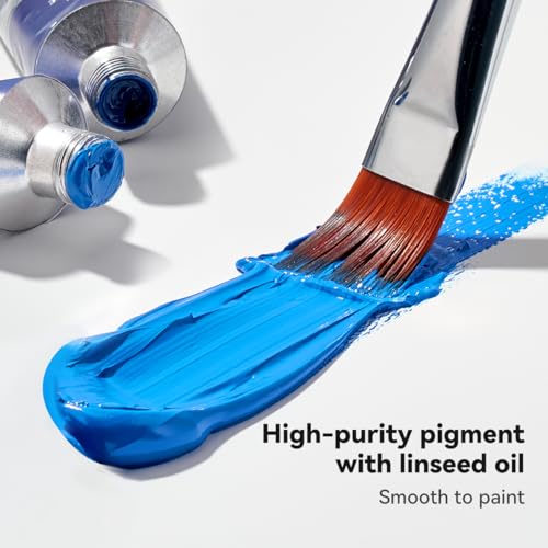 Paul Rubens Oil Paint, 20 Basic Colors*170 ml LargeTubes, Professional Oil Based Paint with High Saturation, Creamy Texture, and Consistency,Art Supplies for Artists, Students, Beginners - color: 20 colors*170ml-B