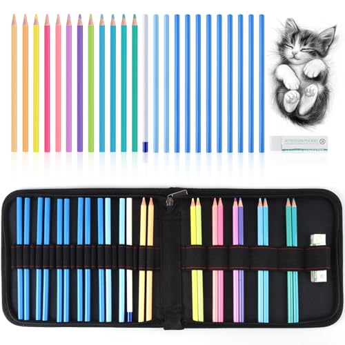 Mifuner Professional Drawing Set, 12 Colored Pencils & 12 Graphite Pencils with Eraser & Case, Art Supplies for Sketching Shading Blending, Gifts for Artists Adults Beginners.Macaron Black - color: Set-Macaron