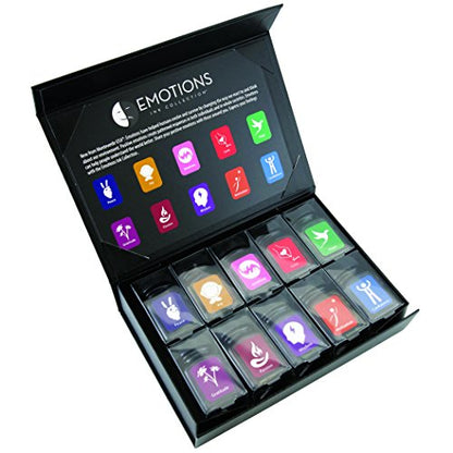 Monteverde USA Emotions Ink Collection Gift Set – 10 Expressive Fountain Pen Inks, 30ml Bottles, Rich & Vibrant - color: Emotions