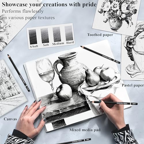Aenir Charcoal Pencils for drawing, Set of 12, Charcoal Drawing Pencils (S-Soft, Soft, Medium, Hard), Art Supplies for Artist, Sketching, Shading - color: Black
