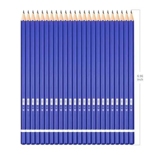 XDT#2B Drawing Pencils 24 Piece Set, Pro Art Graphite Sketching&Shading Supplies, Ideal For Kid Beginner Student Adults Artist - color: 2B 27 Pc Set