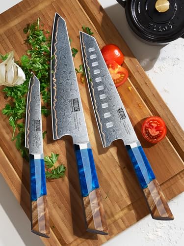 HOSHANHO Damascus 3 Pieces Knife Set, Professional 67-Layer Damascus Steel Kitchen Knife Set, Ultra Sharp Japanese Chef Knives Set with Ergonomic Blue Resin Stabilized Handle & Wood Gift Box - size: 3-Piece Knife Set
