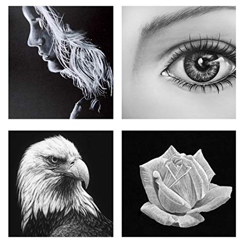 2pcs White Charcoal Pencils for Highlight,Drawing, Writing, Coloring, Gift for Artist, Hobbyist,Beginner (2pcs White) - color: 2pcs white