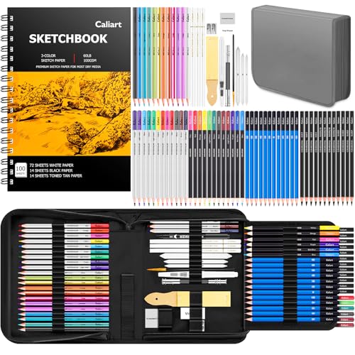 Caliart 176PCS Art Supplies Sketching Kit, 100 Sheets 3-Color Sketch Book | Graphite Colored Charcoal Watercolor & Metallic Pencils, Drawing Supplies Set Gifts for Artists Adults Beginners - color: Grey