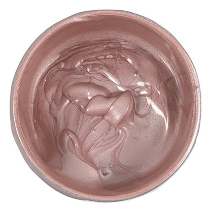 Pearlescent Textile Paint 8 oz. (Champagne) - color: Champagne