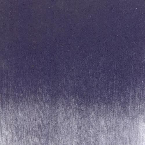 PanPastel Artist Pastels by GOLDEN, Violet Shade, 2.44” / 62mm Pan Diameter, Professional Artist Pastels, Unique Pan Format (cake-like) - color: Violet Shade, size: 1 Count (Pack of 1)