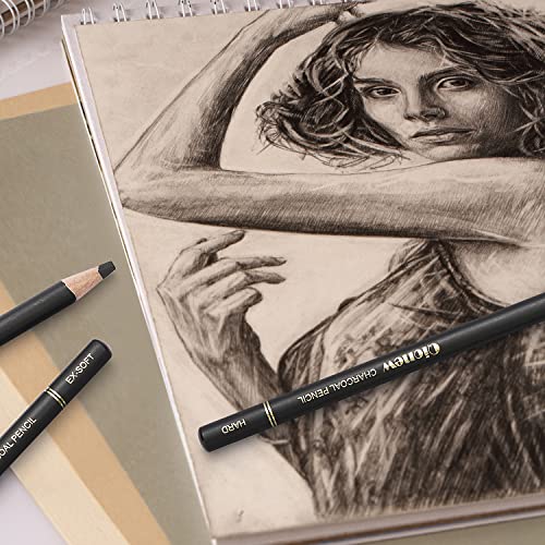 Qionew Professional Soft Medium and Hard Charcoal Pencils Drawing Set 10Pcs | Super Soft, Soft, Medium & Hard Charcoal Pencils for Drawing, Sketching, Shading, Beginners & Artists