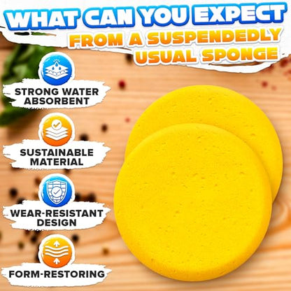 24 Pcs Clay Sponges for Pottery - Small 2.8" Tack Sponge Applicator Set for Light Duty Detail Work, Synthetic Tack Cleaning Sponges - Multi-Use Set for Pottery, Leather Care, Face Painting & Craft - style: 24Pcs