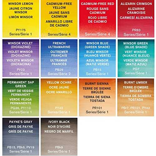 Winsor & Newton Professional Watercolor Paint Set, Field Box, 14 Half Pans & Accessories - style: Field Box 12 Half Pan