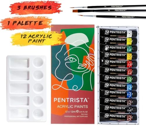 Professional Acrylic Paint Sets, 12 Colors 12ml/0.41 fl.oz Art Paint Tubes with 3pcs Brush + Palette,Heavy Body Acrylic Paints for Artists Adults,Beginners on Canvas Rocks Wood Fabric Craft - color: 12 Colors
