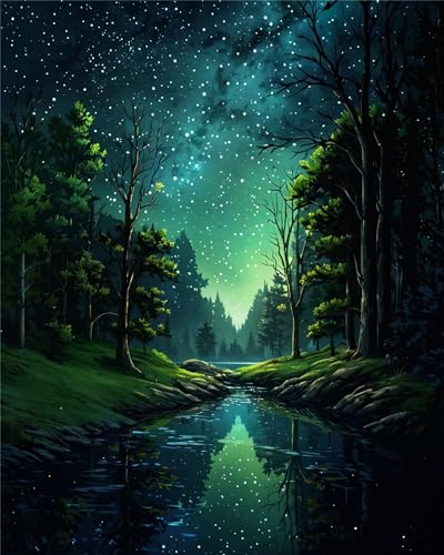 ldazao Starry Night Paint By Numbers Kit for Adults Beginner Forest Adult Paint By Number Kits Canvas Adults' Paint-By-Number Kits DIY Oil Painting for Gift Home Wall Decor 16x20 Inch - color: SZ0019