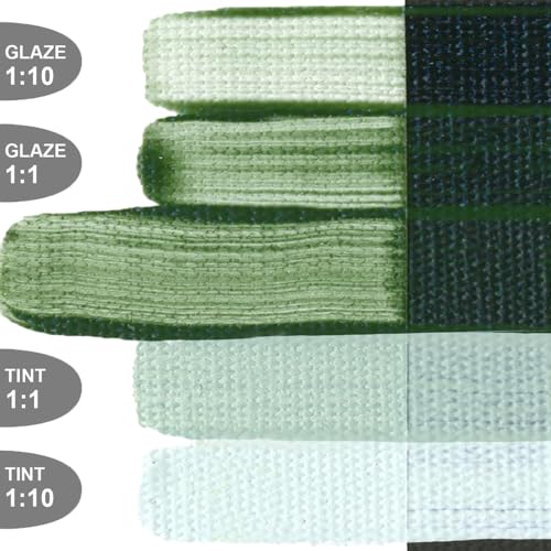 GOLDEN OPEN Slow-Drying Acrylics, Terre Verte Hue, 5 fl oz. tube, Professional Acrylic Paint, Transparent - color: Terre Verte Hue, size: 5 Fl Oz (Pack of 1)