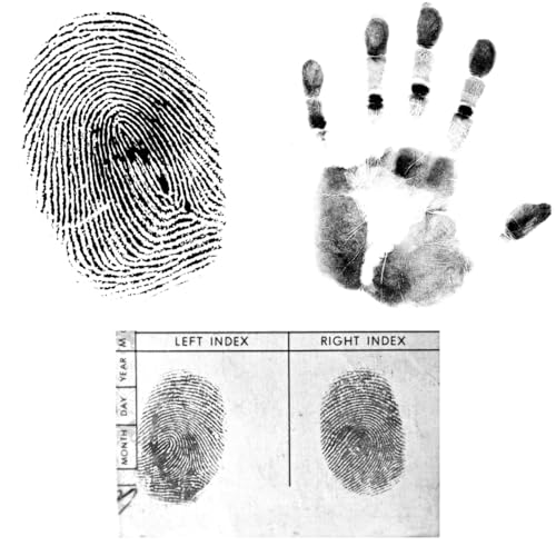 Fingerprint Ink Pad 6-Pack, Ultra-Black Quick-Dry Washable Ink, 10,000+ Crisp Impressions, Large 6.2” Microporous Pad with Snaplock Case, Non-Toxic for Banks, Schools, Legal & Law Enforcement - size: Rectangle Large｜6-Pack