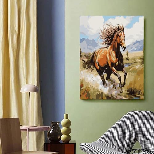 TOCARE Horse Paint by Numbers Kit for Adults,Acrylic Adult Paint by Number Canvas Running Horse,16x20inch Adults' Paint-by-Number Kits - color: TC-OPC-72