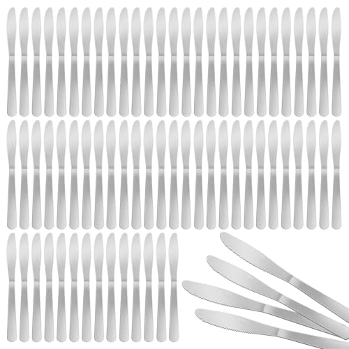 150 Pcs 8.3 Inches Stainless Steel Dinner Knives Spreader Knives Silverware Silver Butter Knife for Steak Table Home Kitchen Restaurant
