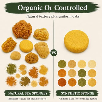 Lullingworth® Natural Sea & Synthetic Sponges - Assorted Sizes 7pc Value Pack for Crafts & Artists: Great for Painting, Acrylic Texturing, Hobbies, Art, Effects, Ceramics, Clay, Pottery