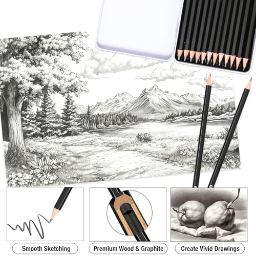SAYEEC Professional Drawing Sketching Pencil Set, 12 Pieces Graphite Pencils (14B-4H), Art Sketch Pencils with Metal Case Artist Pencil for Drawing Art, Sketching, Shading, Adults Beginners (Black)