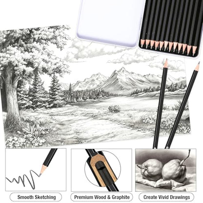 SAYEEC Professional Drawing Sketching Pencil Set, 12 Pieces Graphite Pencils (14B-4H), Art Sketch Pencils with Metal Case Artist Pencil for Drawing Art, Sketching, Shading, Adults Beginners (Black)