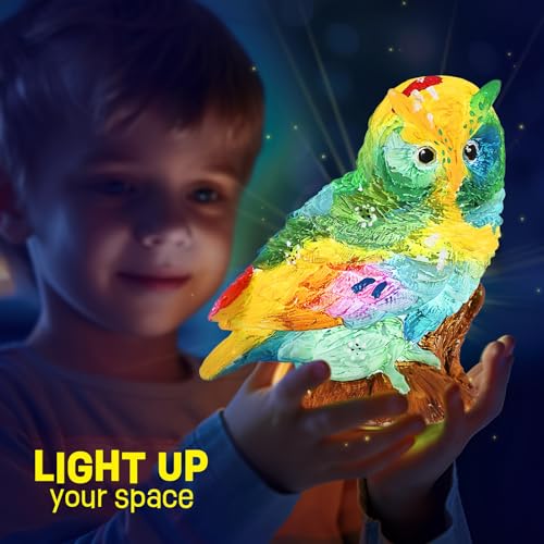 LAOESE Paint Your Own Owl Lamp Kit, Art Supplies Painting Kits for Kids 6-12, Arts and Crafts for Kids Ages 8-12, Owl Toy Girls Boys Birthday Gifts for Kids Ages 3 4 5 6 7 8 9 10 11 12+ - style: Owl