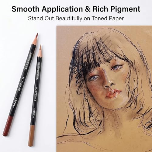 Marie's Professional Charcoal Drawing Set - Premium Artist Sketching Pencils for Portraits & Fine Art - Ideal for Professional Artists & Studio Creation(Light Brown) - style: Light Brown (10pcs)