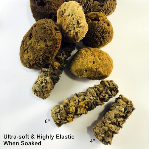 Natural Sea Sponge Mini Roller, 6 Inch - Art Paint Wall Texture Tool | Super Absorbent, Natural Texture | Ideal for Pros & DIY, Efficiently Creates Vivid Wall Patterns (XG-3880) - style: XG-3880