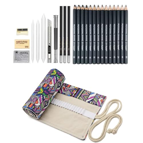 Drawing Pencils, Sketch Pencils Set Graphite 12B 10B 8B 7B 6B 5B 4B 3B 2B B HB 2H 4H 6H and Charcoal Pencils Art Supplies for Sketching and Drawing,Pencil Set for Artists or Beginners - color: Black