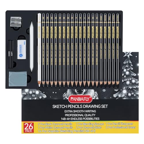 PANDAFLY Drawing Sketching Pencil Set, 26 Piece, 4H-14B Graphite Pencils | Charcoal Pencils & Sticks, Vinyl & Kneaded Erasers, Sharpener & Blending Stump, Artist Pencils for Artists and Beginners