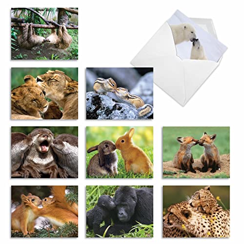 The Best Card Company - 10 Adorable Note Cards Blank (4 x 5.12 Inch) - Wildlife and Animal, Assorted Boxed Set - Animal Smackers M6594OCB - style: Animal Smackers