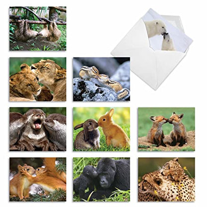 The Best Card Company - 10 Adorable Note Cards Blank (4 x 5.12 Inch) - Wildlife and Animal, Assorted Boxed Set - Animal Smackers M6594OCB - style: Animal Smackers