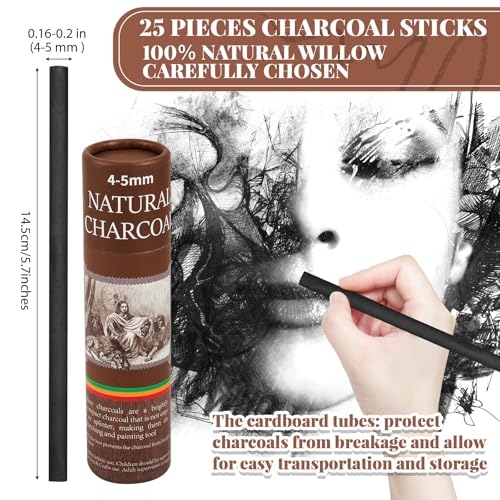 Gueevin 25 Pcs Willow Charcoal Sticks, Willow Charcoal, Artists, Beginners, Students, Perfect for Sketching, Drawing, Shading, and Fine Back to School Christmas Art Gifts (4-5mm) - size: 4-5mm