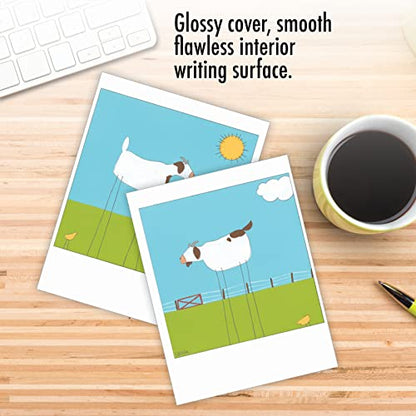 The Best Card Company - 10 Assorted Blank Notes Box Set 4 x 5.12 Inch with Envelopes (10 Designs, 1 Each) Boxed Assorted Kid Cards of Pets - STICK LEGS M6656OCB - style: Stick Legs