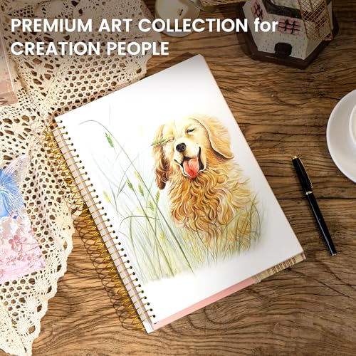 FLYING EAGLE Hardcover Sketchbook for Drawing 8.5 x 11 Spiral Sketch Book for Adults Women Kids with 100gsm 68lb 120 Sheets Premium Paper Sketch Pad for Drawing Books Notebook Art Supplies, Pink - color: Pink