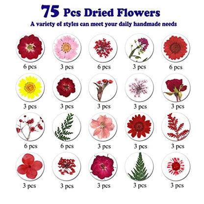 75 Pcs Red Dried Flowers Real Natural Pressed Leave Petals for DIY Resin Candle Jewelry Nail Pendant Crafts - color: Red