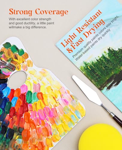 Acrylic Paint Set, 8.45oz 18 Colors Acrylic Paint Large Bottle Set, Rich Pigmented Canvas Paint, Premium Non-toxic Paints for Artists, Paint Set for Kids & Adults, Art Supplies for Canvas