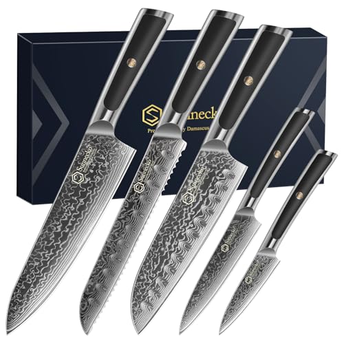 Sunnecko Damascus Kitchen Knife Set 5 Piece, Sharp Chef Knife Set Professional Kitchen Knives Sets Full Tang with Gift Box - size: Set of 5