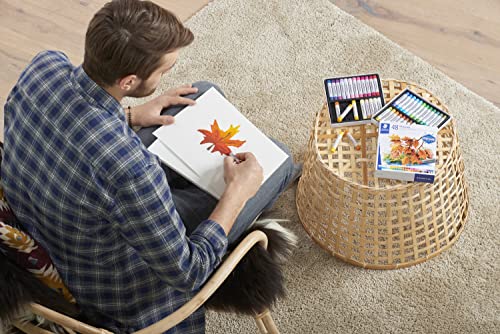 Staedtler Karat Studio Quality Oil Pastels Set of 12 Color-Intensive Colors in Heavy-Duty Cardboard Storage Case (2420C12)